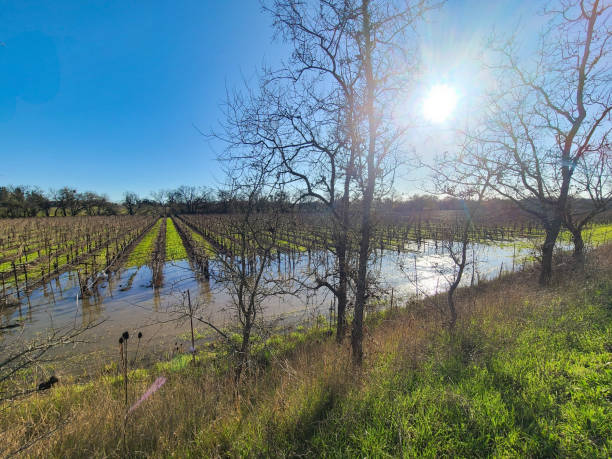 Learn why California wineries may need Industrial General Permit coverage, how outdoor activities and stormwater exposure affect compliance, and when a No Exposure Certification may apply.