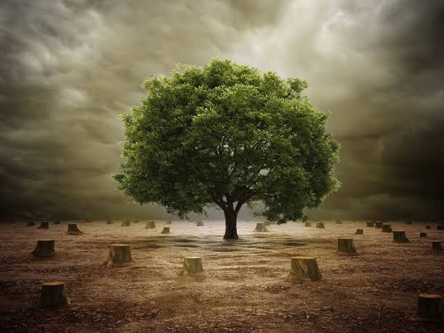 California Public Records Act Requests in Environmental Matters: What Businesses Should Know